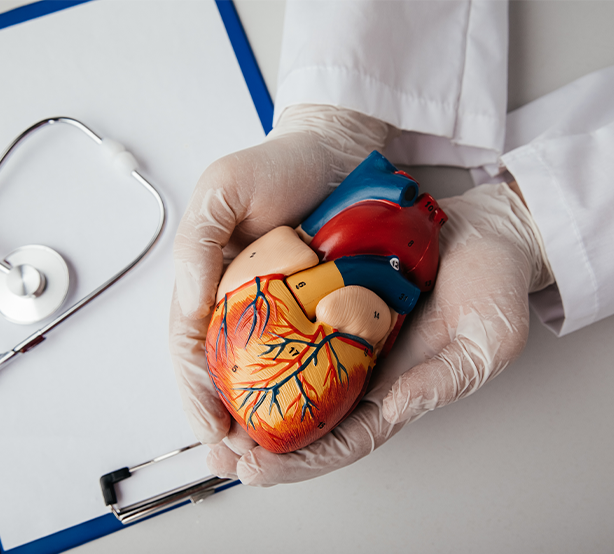 Cardiology & Cardiac Surgery